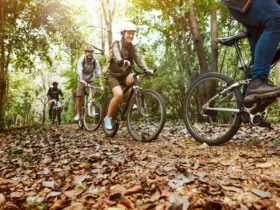 Tour in bici con guida nei parchi storici