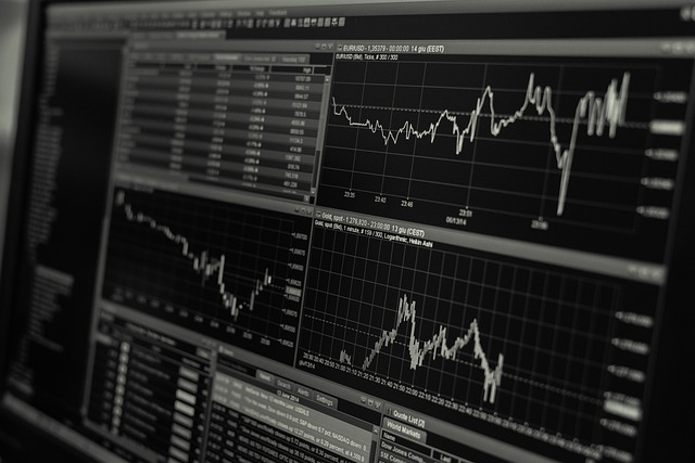 Tirocini per persone con background in economia