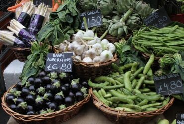 Servizi di ricerca e selezione per il settore delle risorse naturali