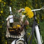 Tour ciclistici con degustazioni nei vigneti naturali