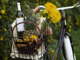 Tour ciclistici con degustazioni nei vigneti naturali