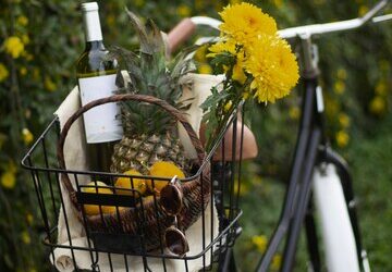 Tour ciclistici con degustazioni nei vigneti naturali