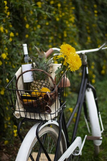 Tour ciclistici con degustazioni nei vigneti naturali