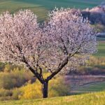 Come prepararsi per un colloquio con un panel