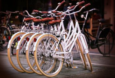 Noleggio biciclette per esperienze enogastronomiche nei vigneti naturali