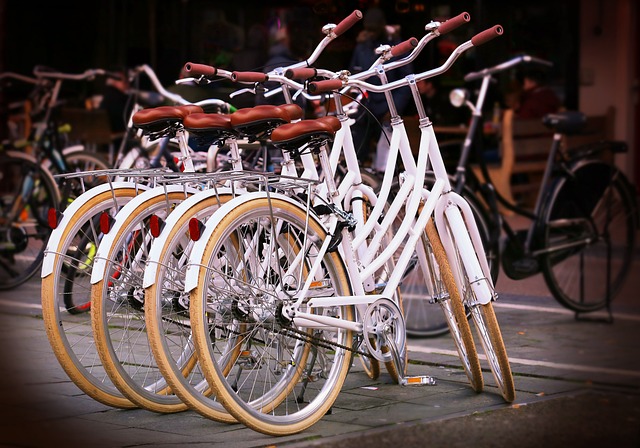 Noleggio biciclette per esperienze enogastronomiche nei vigneti naturali