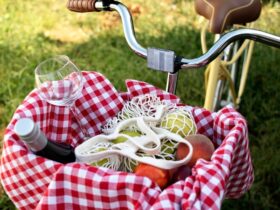 Noleggio biciclette per esperienze enogastronomiche nei vigneti naturali