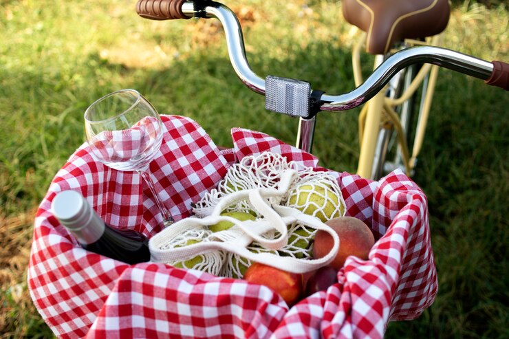 Noleggio biciclette per esperienze enogastronomiche nei vigneti naturali