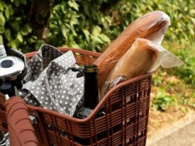 Noleggio biciclette per esperienze enogastronomiche nei vigneti naturali