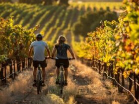 Tour cicloturistici con guida nei vigneti naturali