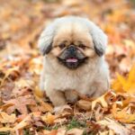 Come rendere speciale un voucher in quad per chi ama la natura