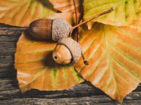 Come vestirsi per un tour in quad in Toscana, stagione per stagione