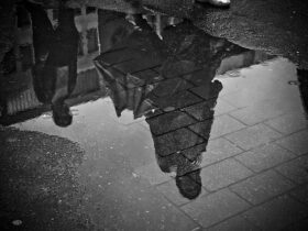 Guida alle condizioni del terreno e del clima per escursioni in quad