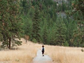 I migliori percorsi per un’escursione in quad nelle colline toscane