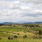 Il miglior itinerario in quad tra vigneti e uliveti del Chianti