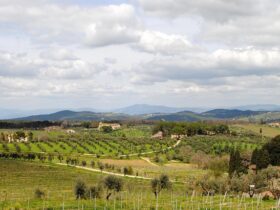 Il miglior itinerario in quad tra vigneti e uliveti del Chianti