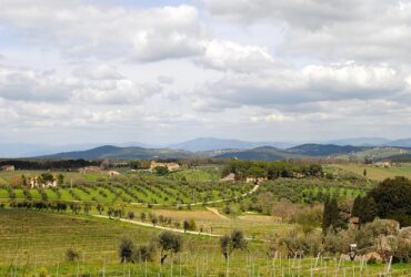 Il miglior itinerario in quad tra vigneti e uliveti del Chianti