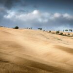 Storia e geologia delle Crete Senesi raccontate durante il tour