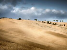 Storia e geologia delle Crete Senesi raccontate durante il tour